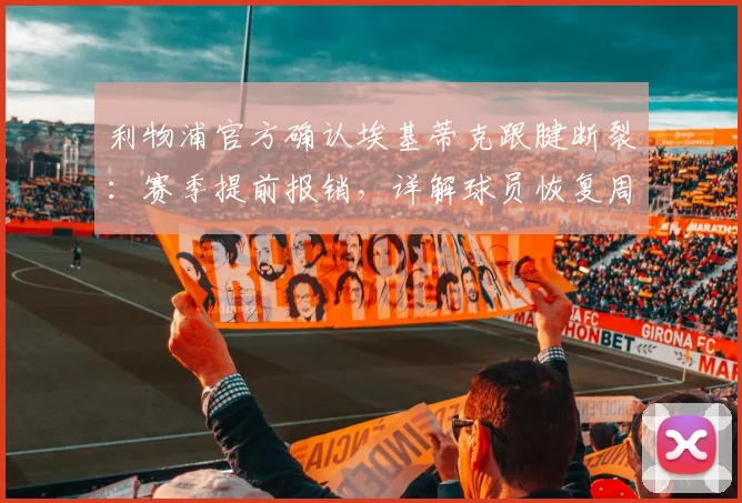 利物浦官方确认埃基蒂克跟腱断裂：赛季提前报销，详解球员恢复周期及对球队锋线影响，附2026年世界杯前景分析